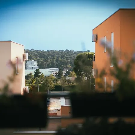 Zoey * Макарска